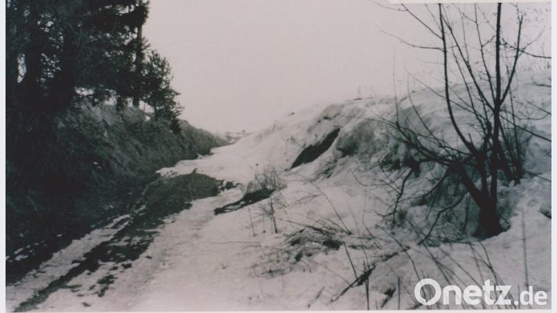 Viele Hohlwege verschwanden in den Flurbereinigungsverfahren, denn sie waren Hindernisse für die immer größer werdenden landwirtschaftlichen Fahrzeuge. Bild: gi