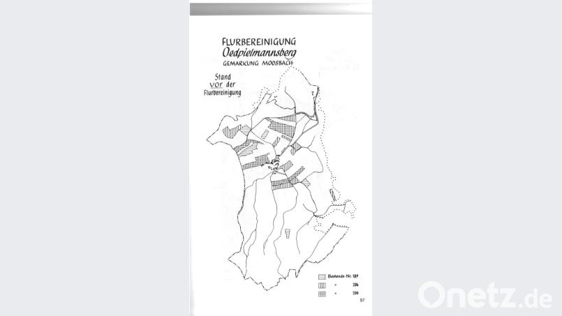 Grundstückszuschnitt von drei Besitzern vorher und nachher. Bild: gi