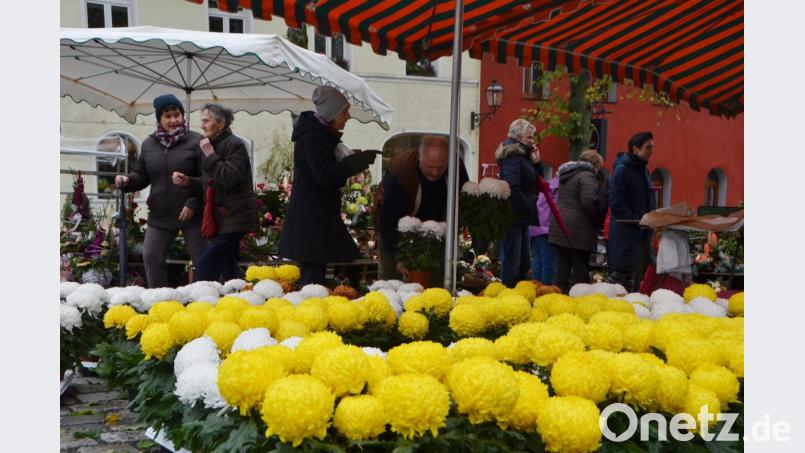 Nur die Gärtnerei Steinhilber aus Schirmitz trotzte dem Wetter und hielt am Kirchweihverkauf am Marktplatz fest. Bild: dob