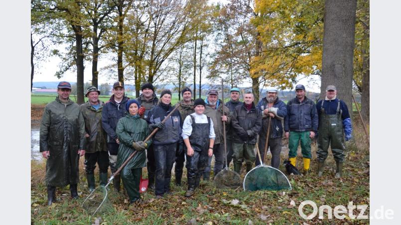 Beim Abfischen des Mühlweihers freuen sich die Fischer und Helfer des Kreisfischereivereins mit Vorsitzendem Johann Dittmann (rechts) über die große Ausbeute. Bild: gi