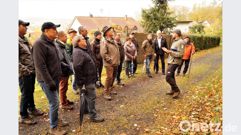 Förster Andreas Arnold (rechts) erläutert den Stadträten den Zustand des Stadtwaldes. Bild: arw