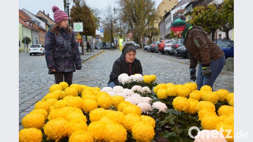 Für Allerheiligen werden auf dem Kirchweihmarkt traditionell gerne die Blumen für die Gräber gekauft. Bild: dob