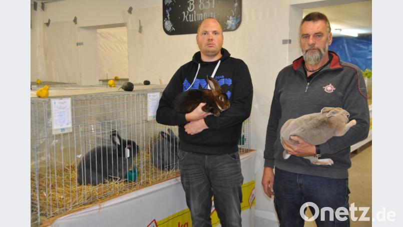 Ausstellungsleiter Alexander Sporr (links) und sein Stellvertreter Wolfgang Liedl präsentieren zwei tolle Kaninchen. Bild: ak