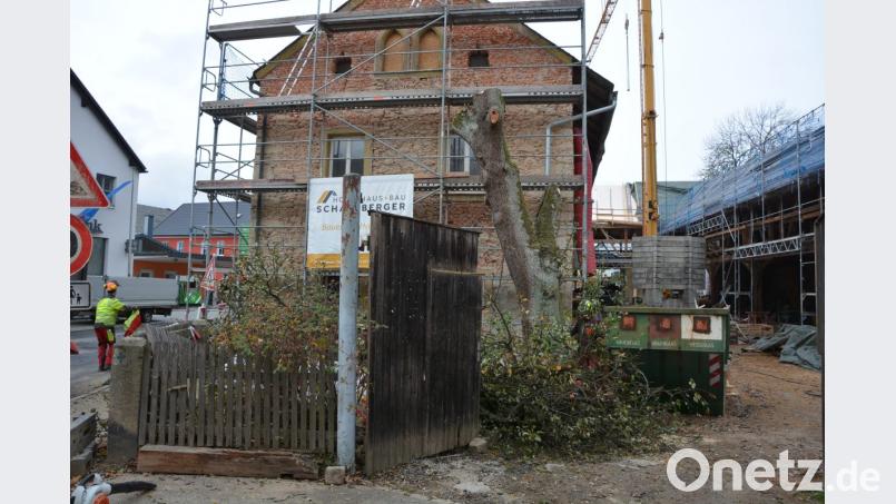 Geschichte ist der mehr als 100 Jahre alte Birnbaum vor dem Schafferhof-Anwesen. Bild: jr