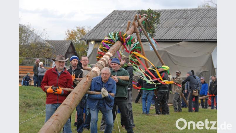 Der erste Höhepunkt der Kirwa ist das Aufstellen des Baums. Unter dem Kommando von Sepp Plößner (links) wird dieser empor gewuchtet. Bild: ow