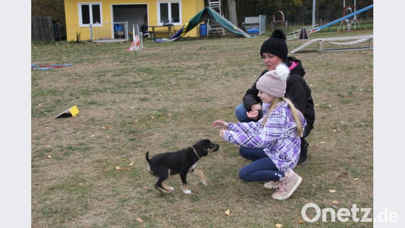 Melanie Zerhau und Tochter Leonie gehen mit dem Mischling „Max“ in die Hundeschule, damit sie professionelle Tipps erhalten. Bild: Adele Schütz