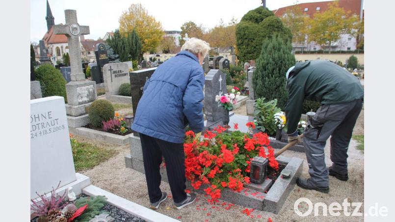 Durch den langen, sehr warmen Sommer und den angenehmen Herbst haben sich die Sommerblumen auf den Gräbern prächtig gehalten, so dass sie noch in voller Blüte der Winterbepflanzung weichen müssen. Bild: ads