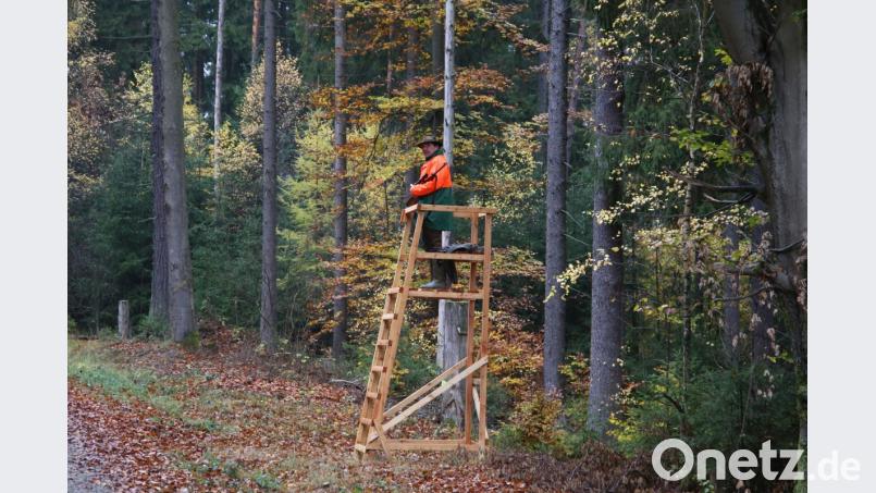 Die Jäger harren zwei Stunden lang bei nass-kaltem Wetter aus - immer bereit für den Fall, dass vor ihrer Büchse ein Wildschwein auftaucht. Bild: ck