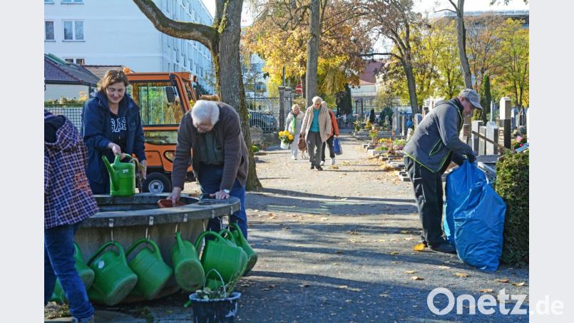 Es wird gegossen, gefegt und angepflanzt: Auf dem Stadtfriedhof in Weiden bereiten sich die Angestellten und Angehörigen auf Allerheiligen vor. Bild: Gabi Schönberger
