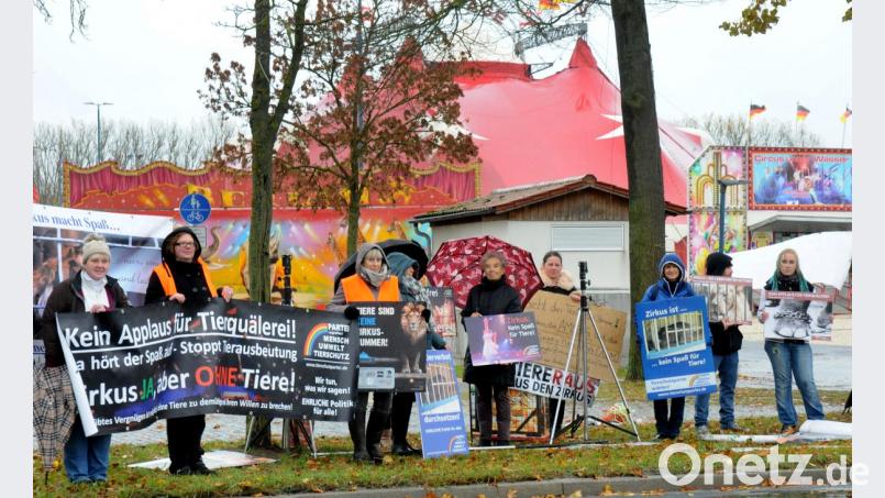 Trotz des Dauerregens demonstrieren die Tierschutz-Aktivisten am Sonntag mit Plakaten und Transparenten vor dem Dultplatz. Bild: Stephan Huber