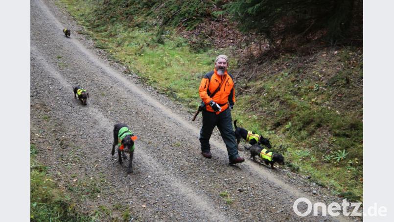 Hundeobmann Roland Bäumler aus Grub tritt mit seinen Stöberhunden nach der Jagd den Heimweg an. Bild: ck