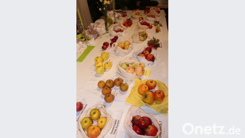 Die Apfelsortenschau mit 35 Apfelsorten erfreute sich großer Beliebtheit, denn alle Äpfel durften auch probiert werden. Bild: rpp