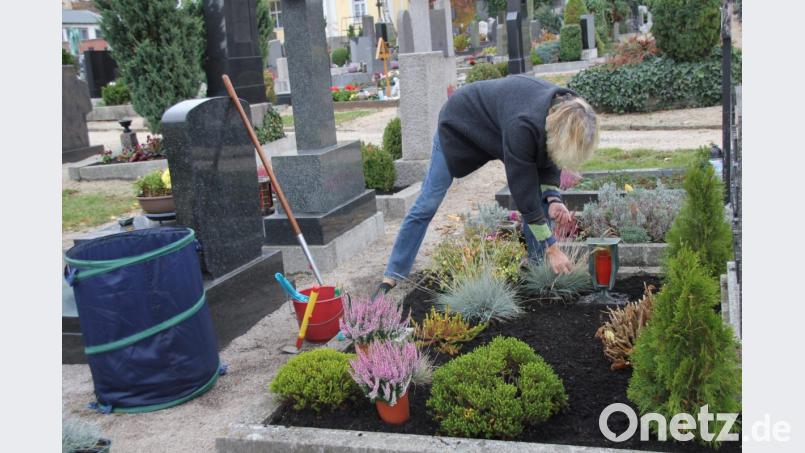 Familie Amann hat das ganze Jahr über Freude am Friedhofsbesuch und an der Grabpflege, insbesondere an Allerheiligen. Für das Ehepaar ist der Friedhof ein Ort der Ruhe und der Einkehr. Bild: ads