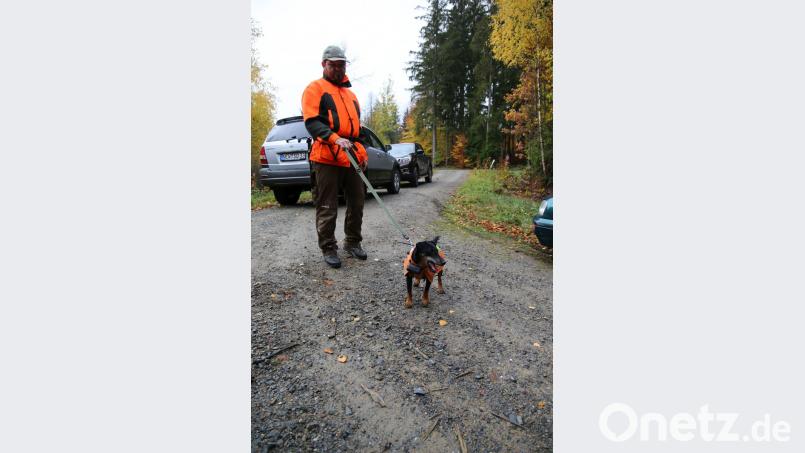 Christian Ertl, Vorsitzender der BJV-Kreisgruppe Vohenstrauß, beteiligt sich mit seinem Deutschen Jagdterrier Donna an der großen Drückjagd bei Neuenhammer. Bild: ck
