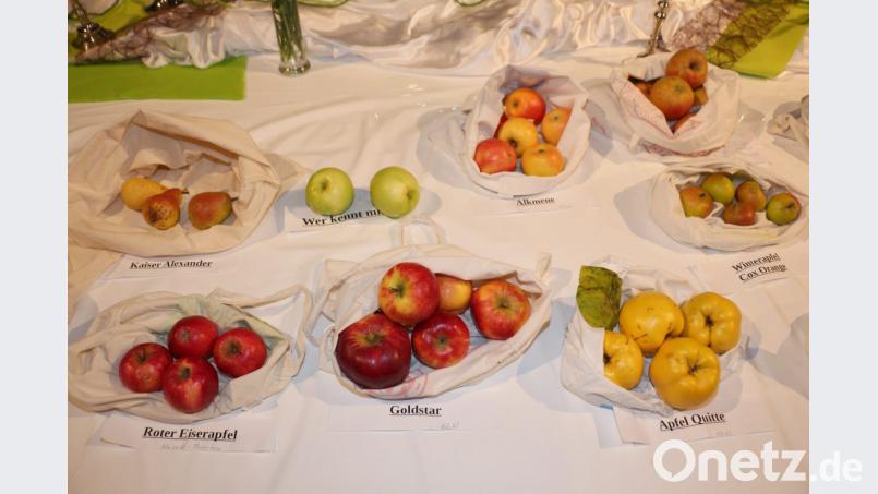 Die Apfelsortenschau mit 35 Apfelsorten erfreut sich großer Beliebtheit, denn alle Äpfel dürfen auch probiert werden. Bild: rpp