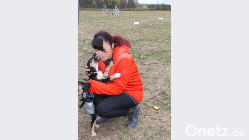 Hundebabys sind verschmust und unwiderstehlich. Das hilft auch beim Lernen in der Hundeschule. Bild: Adele Schütz