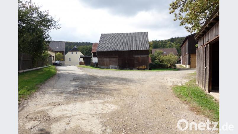 Ein Ausbau des Turnerplatzes im Ortsteil Reichenau ist wieder in weite Ferne gerückt. 50 000 Euro hatte der Marktrat im Haushalt vorgesehen; nun lautete das günstigste Angebot auf fast 200 000 Euro. Bild: fjo