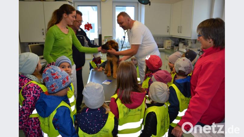 Besorgt verfolgten die Kinder die Behandlung der Tiere durch den Arzt und waren froh, dass sie nicht operiert werden mussten. Bild: gi