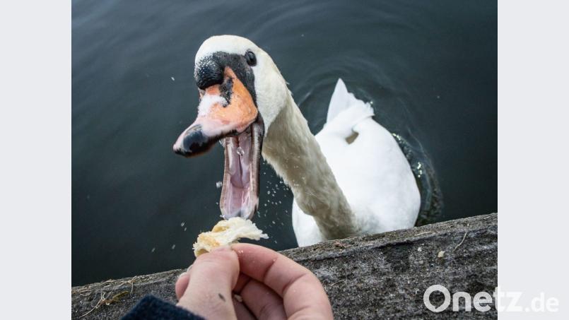Symbolbild Bild: Frank Rumpenhorst/dpa