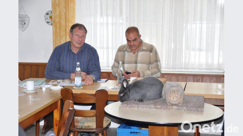 Kulmainer Kaninchenzüchtervorsitzender Wolfgang Gründl und Kassier Reinhard Wurm (von rechts) mit den beiden Zuchtrassen Wiener und Rex. Bild: ak