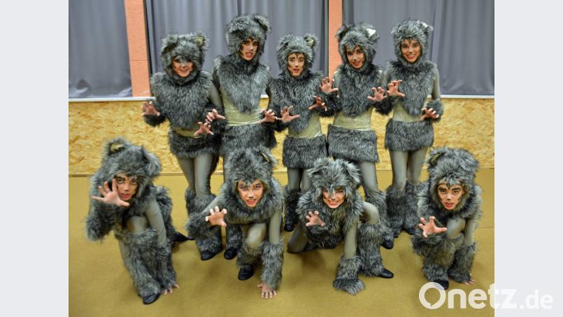 Mit einem fantasievollen Programm unterhält die AWO-Tanzgruppe Grün-Weiß Oberviechtach die Faschingsfreunde. Bild: exb
