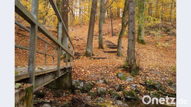 Zwischen dem Bocklradweg und der Floß fehlt ein Handlauf. Bild: arw
