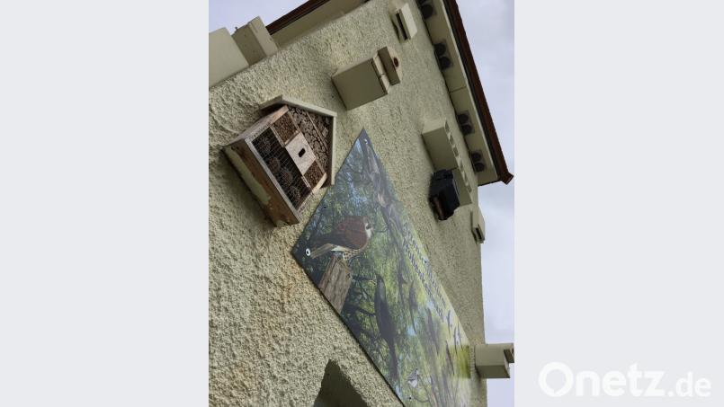 Eines der Naturschutzprojekte in der Gemeinde Ursensollen: Der Artenschutzturm. Ein ehemaliges Trafohäuschen wurde zum Nistplatz für verschiedene Vogelarten. Bild: gri