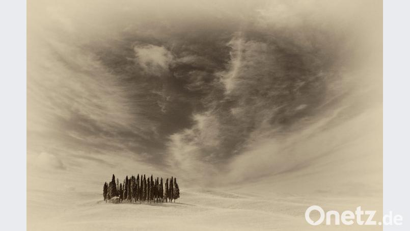 „Wäldchen in der Toskana“: Die Zypressen im Orcia-Tal in der Toskana sind nicht etwa eingeschneit. Das Weiß ist eine Nachbearbeitung. Bild: Max Striegl