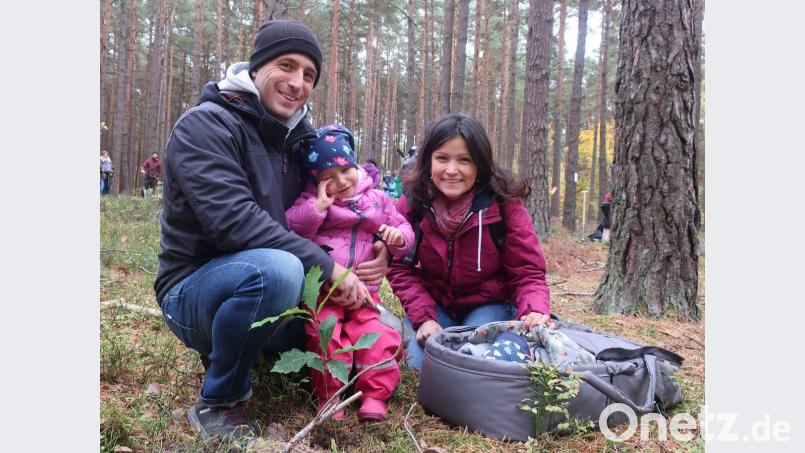 Remko, Sofia und Caroline Gössl (von links) pflanzten für den kleinen Simon (in der Trage) eine amerikanische Roteiche. Bild: Hirsch
