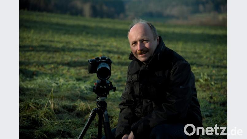 Naturfilmer Thomas Stock widmet sich der Insektenwelt im Oberpfälzer Wald Bild: stg