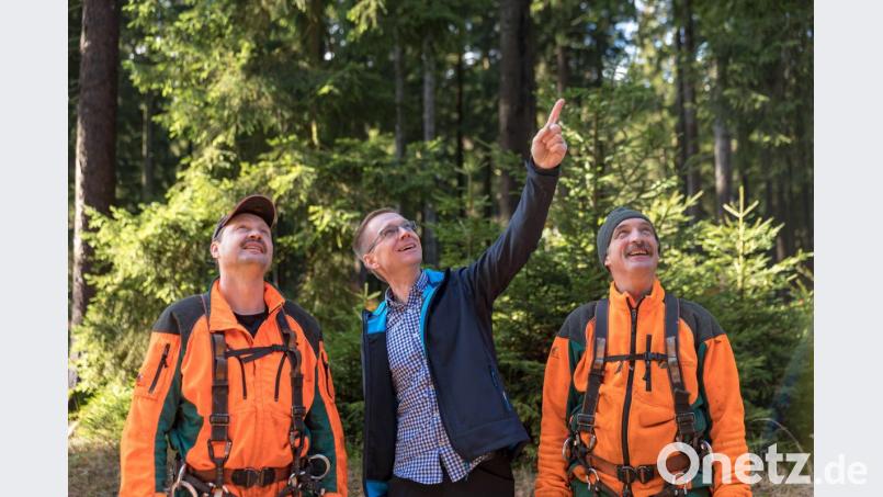 Andreas Büchner (Mitte), Leiter des Pflanzgartens am Stützpunkt Bindlach, freut sich mit den beiden Forstwirten und Zapfenpflückern Alois Krockauer (links) und Peter Buchbinder (rechts) über die vielen Zapfen an den Fichten. Bild: exb