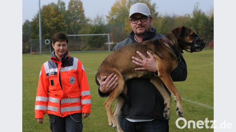Lässt sich der Rettungshund von einem ihm Unbekannten tragen? Auch das ist Teil der Prüfung unter Leitung von Claudia Bauer (links), Rettungshunde-Staffelführerin des BRK-Kreisverbands Amberg-Sulzbach. Bild: gf