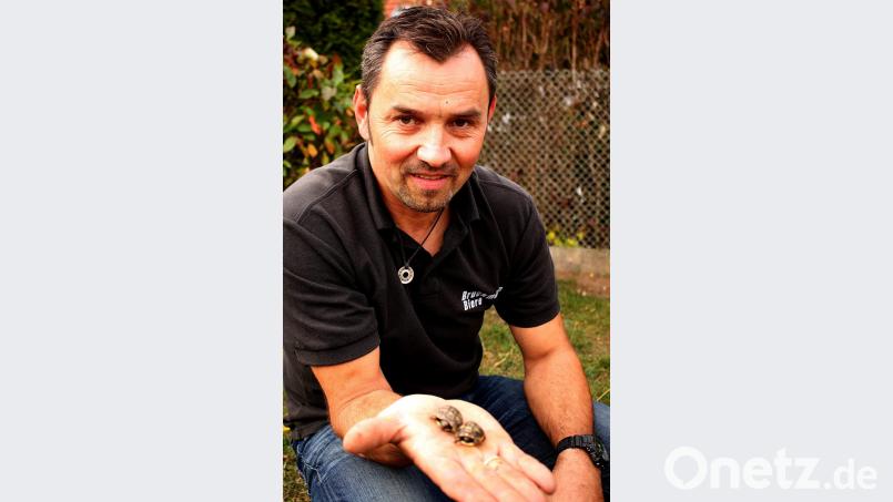 Josef Meißner im Bild mit den beiden neuen Schildkröten. Bild: zer
