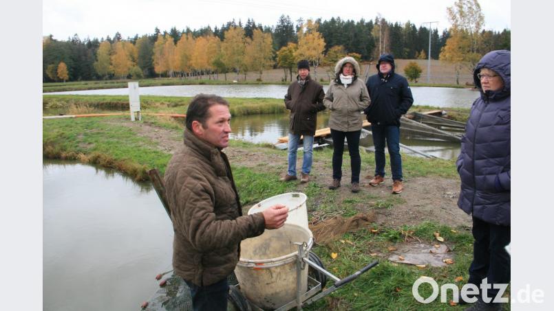 Viel Wissenswertes erklärt Klaus Bächer bei einer Teichführung. Bild: wro