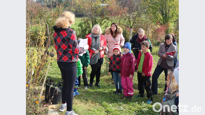 Magdalena Zeitler (links) zeigt den Kindern und der Kommission die zur Pflanzentauschbörse bepflanzten Kartoffeltaschen und beginnt im Anschluss mit der Ernte. Bild: rpp