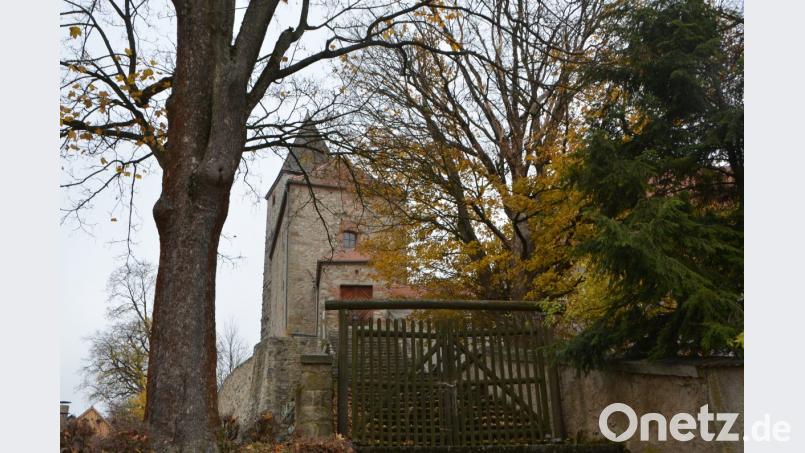 Burganlage Waldau im Novemberlicht Bild: dob