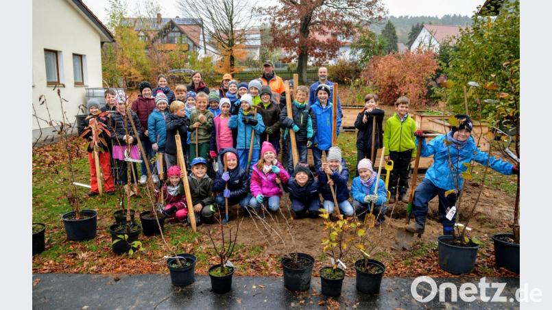 Pflanzaktion in der Ehenfelder Schule Bild: fdl