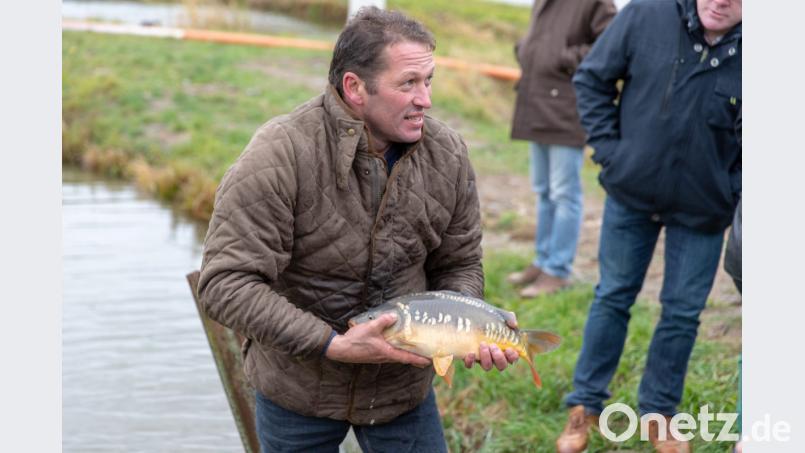 Der Karpfen ist nicht nur ein gesundes, sondern auch ein wohlschmeckendes Teichprodukt, so Betriebsleiter Klaus Bächer. Bild: exb - Ingo Hilger