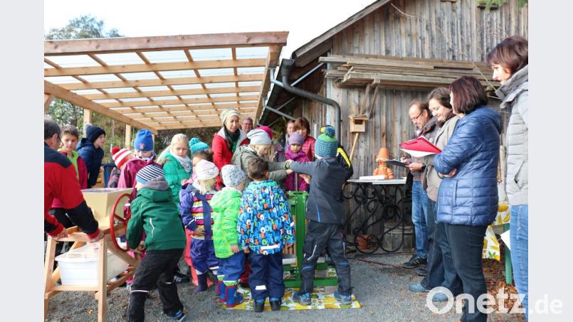 OGV Kemnath Jugendaktion - Knack die Nuss Bild: rpp