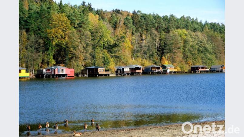 Herbststimmung am Rußweiher. Bild: do