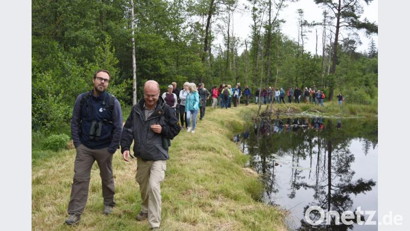 Von der fachkundigen Exkursion im Kainzbachtal unter Leitung von Toni Wolf sind die Vertreter der LBV-Landesgeschäftsstelle begeistert. Bild: es