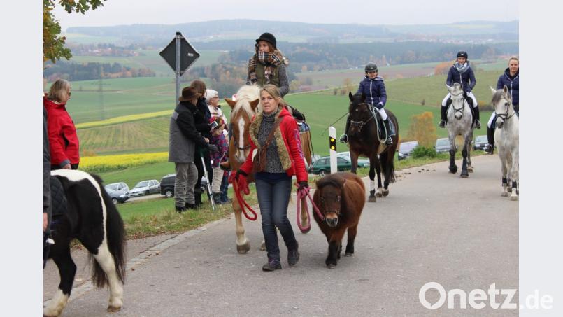 Leonhardiritt nach Seebarn. Bild: pko