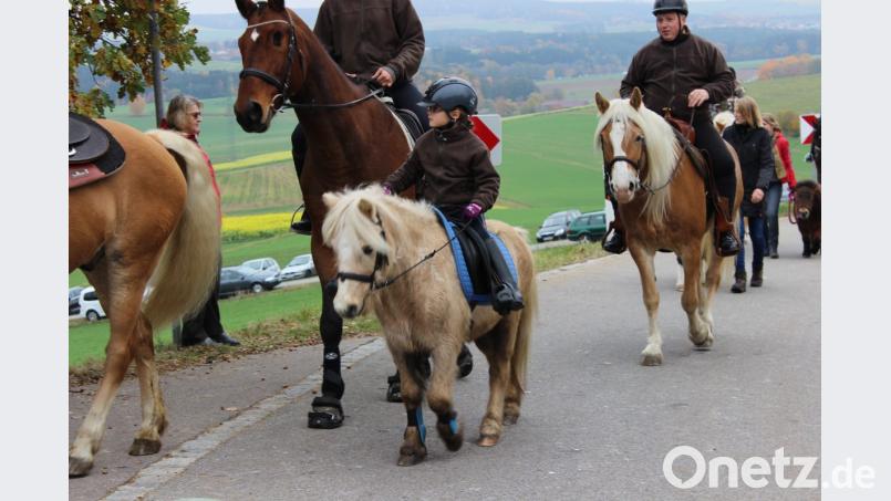 Auch Ponys waren beim Leonhardiritt zu sehen. Bild: pko