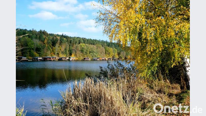 Herbststimmung am Rußweiher. Bild: do