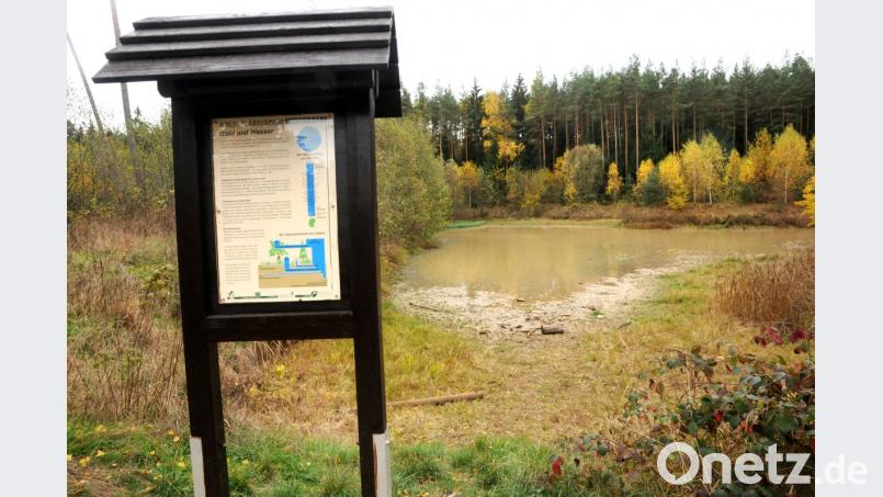 Informationstafeln, die Spitalweiher, Ruhebänke – all das fällt in der Wagensass auch in die Zuständigkeit des Revierförsters. Bild: ge