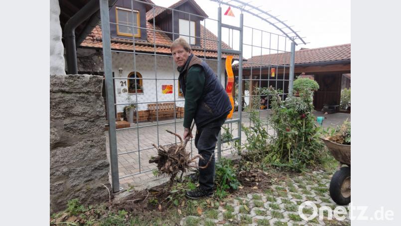 Mit einer Grabegabel gräbt Josef Höllerl die Dahlien-Knollen vor dem Winter aus und lagert sie trocken. Bild: privat