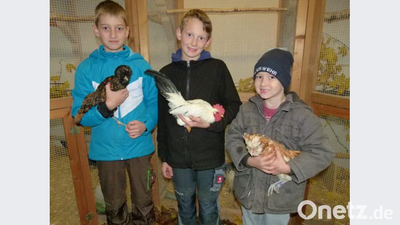 Zahlreiche Jugendliche beteiligten sich im vergangenen Jahr an der Kleintierzucht und freuten sich, ihre Zuchterfolge bei der Grenzlandschau präsentieren zu dürfen. Bild: bgl