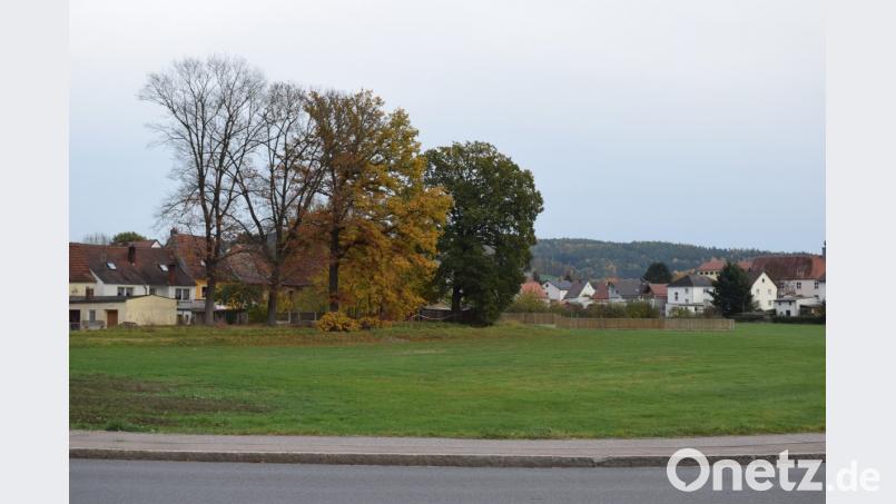 Der Erhalt und die Nutzung der Stadtweiherwiesen wurde nicht in Frage gestellt. Sogar die Schaffung eines Stadtweihers wurde angedacht. Bild: bnr