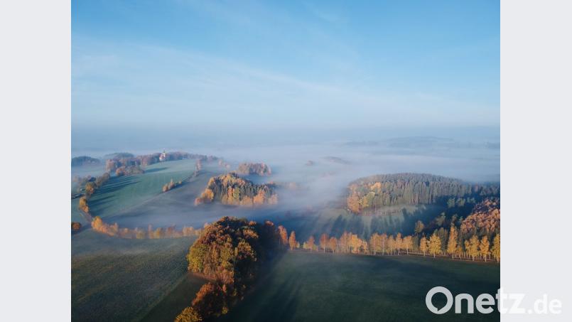 Ilsenbach im Nebel. Bild: Christian Trisl