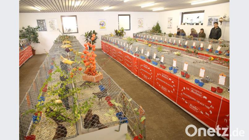 Die Ausstellungshalle Bild: egl